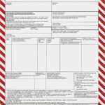 Beförderungspapier Adr Vorlage Download Einzigartig Beförderungsdokument Für Gefährliche Güter Nach §6 Ggvsee