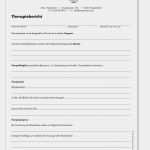 Befundbogen Physiotherapie Vorlage Einzigartig therapiebericht Mit Eingedruckten Kontaktdaten Und Logo