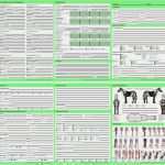 Befundbogen Physiotherapie Vorlage Elegant 50 Anamnesebögen Für Pferdebehandlung 6 Seitig