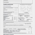 Befundbogen Physiotherapie Vorlage Wunderbar Befundbögen Dgfdt