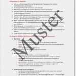 Befundbogen Physiotherapie Vorlage Wunderbar Leitfaden Für Ein Bewerbungsgespräch Praxisbedarf Shop