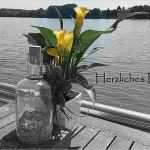 Beileidstexte Vorlagen Erstaunlich Herzliches Beileid Karte Schreiben Herzliches Beileid