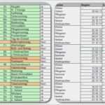 Belegungsplan Excel Vorlage Erstaunlich Belegungsplan Excel Vorlage Kostenlos – Vorlagen Komplett