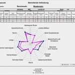 Benchmark Analyse Vorlage Wunderbar Caveco
