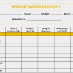 Beobachtungsbogen assessment Center Vorlage Süß Beobachtungsbogen Allgemein Quer Pdf
