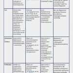 Beobachtungsbogen Vorlage Kindergarten Genial Nifbe