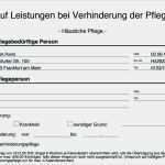 Beratungsprotokoll Pflege Vorlage Bewundernswert Vorlagen Meinpflege Nst