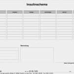 Beratungsprotokoll Pflege Vorlage Inspiration Vorlagen Meinpflege Nst