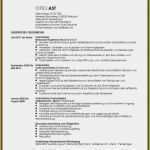 Bericht Schatzmeister Vorlage Erstaunlich 17 Bericht Schreiben Vorlage