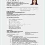 Bericht Schatzmeister Vorlage Schönste 14 Bericht Schreiben Vorlage