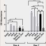 Bericht Schatzmeister Vorlage Wunderbar 6 Schatzmeister Bericht Vorlage Excel Vorlagen123