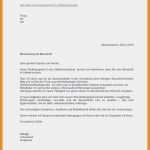 Bericht Schreiben Vorlage Erstaunlich 17 Bericht Schreiben Vorlage