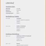 Berichtsheft Ausbildung Vorlage Best Of Ausbildung Berichtsheft Vorlage Konzepte Berichtsheft