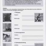 Berichtsheft Maler Und Lackierer Vorlage Großartig Malerfachbuch Berichtsheft Für Das Maler Und