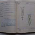 Berichtsheft Vorlage Anlagenmechaniker Shk Schönste „berichtsheft Für Gewerbliche Berufsausbildung