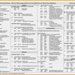 Berichtsheft Vorlage Ihk Bayern Erstaunlich Berichtsheft Vorlage Ihk Bayern Beste 9 Kontenplan Bwr