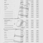 Berichtsheft Vorlage Ihk Bayern Hübsch Berichtsheft Vorlage Ihk Bayern Erstaunlich