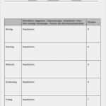 Berichtsheft Vorlage Ihk Pdf Beste Berichtsheft Ausbildung Im It Bereich Fachinformatiker