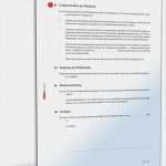 Berliner Testament Vorlage Pdf Beste Berliner Testament Trennungslösung