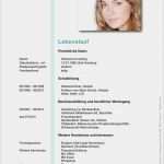Berufe Steckbrief Vorlage Cool Lebenslauf Muster