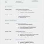 Berufe Steckbrief Vorlage Erstaunlich Lebenslauf Muster Für Gesundheitsberater