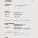 Berufe Steckbrief Vorlage Hübsch Steckbrief Kindergarten Praktikum Vorlage Steckbrief