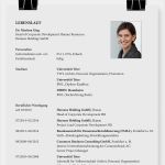 Berufsbild Vorlage Inspiration Lebensläufe In Hr „konsequent überraschend Bunt