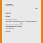 Beschäftigungsverbot Arbeitgeber Vorlage Neu 8 Kündigung Arbeitnehmer Vordruck