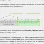 Beschäftigungsverbot Vorlage Süß Mutterschutz Bzw Schutzfrist Pdf