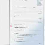 Bescheinigung Zur Vorlage Beim Finanzamt Fahrtätigkeit 2017 Einzigartig Grnde Fr Eine Kndigung In Der Probezeit Widerspruch