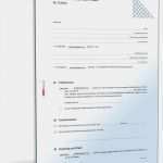 Beschluss Betriebsrat Vorlage Download Großartig Praktikantenvertrag Schüler