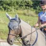 Bestätigung Führerschein Angewiesen Vorlage Beste Betreute Reiterferien Für Anfänger Und fortgeschrittene