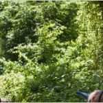 Bestätigung Führerschein Angewiesen Vorlage Inspiration Betreute Reiterferien Für Anfänger Und fortgeschrittene