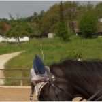 Bestätigung Führerschein Angewiesen Vorlage Neu Betreute Reiterferien Für Anfänger Und fortgeschrittene