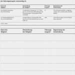 Bestätigung Zur Vorlage Beim Einwohnermeldeamt Erweitertes Führungszeugnis Erstaunlich Kinderschutz Im Ehrenamt Leitfaden Für Vereine Und