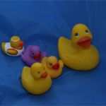 Bestätigung Zur Vorlage Beim Einwohnermeldeamt Erweitertes Führungszeugnis Erstaunlich Pflegekinder Nst Gastelternprojekt