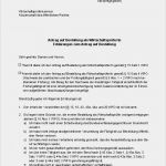 Bestellung Brandschutzhelfer Vorlage Schön Bestellung