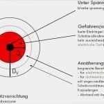 Bestellung Elektrotechnisch Unterwiesene Person Vorlage Cool Annäherungszone R O E Line Rechtssichere
