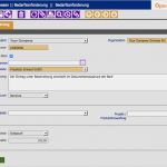Bestellung Elektrotechnisch Unterwiesene Person Vorlage Cool Bedarfsanforderung