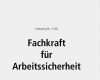 Bestellung Fachkraft Für Arbeitssicherheit Vorlage Hübsch Fachkraft Für Arbeitssicherheit Pdf