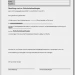 Bestellung It Sicherheitsbeauftragter Vorlage Einzigartig forum Verlag Herkert Gmbh