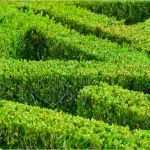 Bestellung Sicherheitsbeauftragter Vorlage Luxus Risikomanagement Risikomanagementsystem Fmea