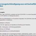 Bestes Arbeitszeugnis Vorlage Cool Kündigung Aus Gesundheitlichen Gründen Vorlage Luxus