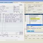 Besuchsbericht Vorlage Außendienst Fabelhaft Allgemeine Information über Das Ct Pen Dpp System