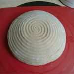 Betriebliche Altersvorsorge Ruhen Lassen Vorlage Neu De Holthusener Backstuv Mischbrot Mit Vollkornmehl