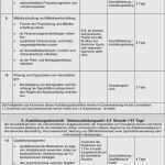 Betrieblicher Ausbildungsplan Vorlage Excel Erstaunlich Ausbildungsplan Vorlage Excel Elegant Der Betriebliche