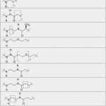 Betriebsabrechnungsbogen Vorlage Pdf Schön Betriebsabrechnungsbogen Excel