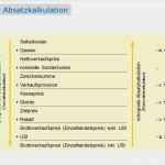 Betriebsabrechnungsbogen Vorlage Pdf Süß Betriebsabrechnungsbogen Berechnen Kostenstellenrechnung