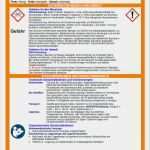 Betriebsanweisung Awsv Vorlage Schönste Großartig Betriebsanweisungen Vorlage Galerie