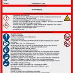 Betriebsanweisung Vorlage Kostenlos Erstaunlich Betriebsanweisung Arbeitsschutzhelm sofort Download